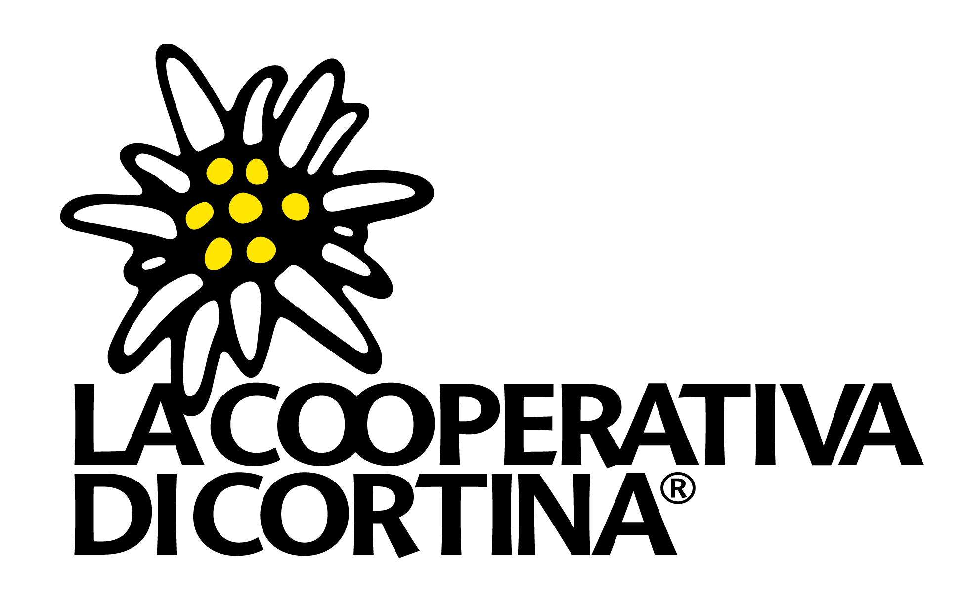 La Cooperativa di Cortina