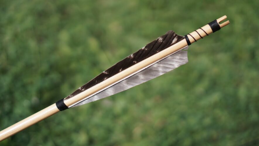 arrow feather stock selective focus